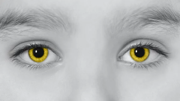 Girls Eyes Toned Illuminating Yellow Close Yellow Eyes Beautiful Young — Stock Photo, Image