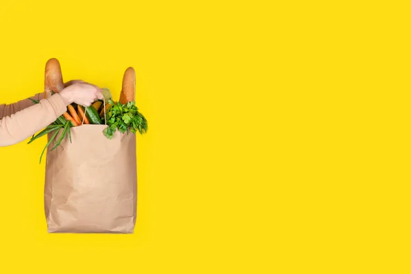 Shopping, Food delivery or donation concept. Grocery store shopping. Woman holds eco paper bag filled with groceries such as fruits, vegetables, yogurt, eggs isolated on yellow Banner with copy space