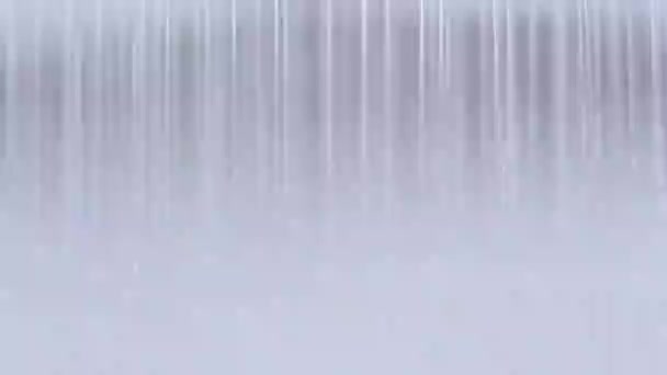 Déšť Nebo Tropická Sprcha Zblízka Moderní Koupelně Koncept Zásobování Vodou — Stock video