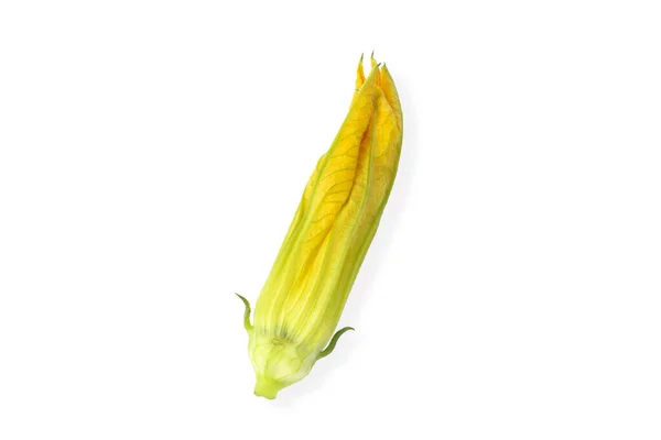 Flor Amarilla Calabaza Calabacín Aislada Sobre Fondo Blanco Vista Superior —  Fotos de Stock