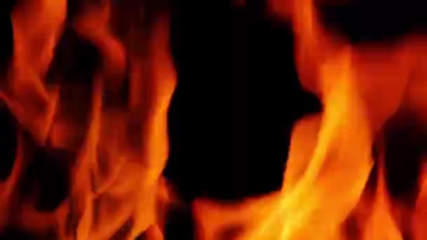 Fire Line Flames Isolated Black Background Resolution Fire Burning Fireplace — Stock Video