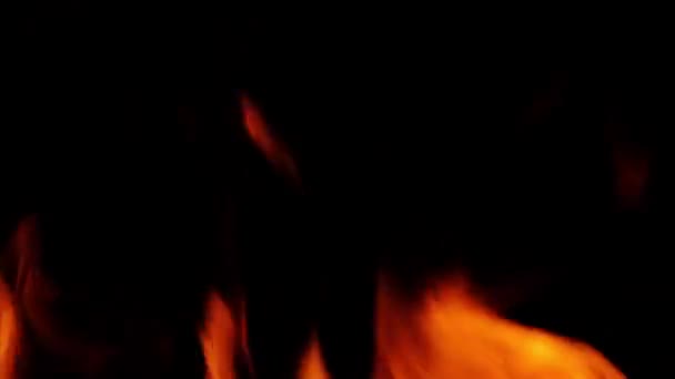 Fire Line Flames Isolated Black Background Resolution Fire Burning Fireplace — Stock Video