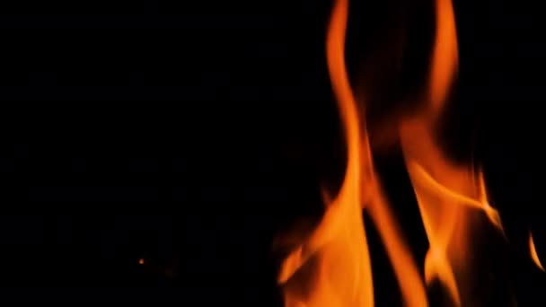 Fire Flames Isolated Black Background Resolution Fire Burning Fireplace Slow — Stockvideo