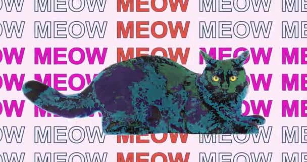 Funny fluffy black cat with bright yellow eyes and kinetic typography animation. Abstract graphics in trendy colors and style — Vídeo de Stock