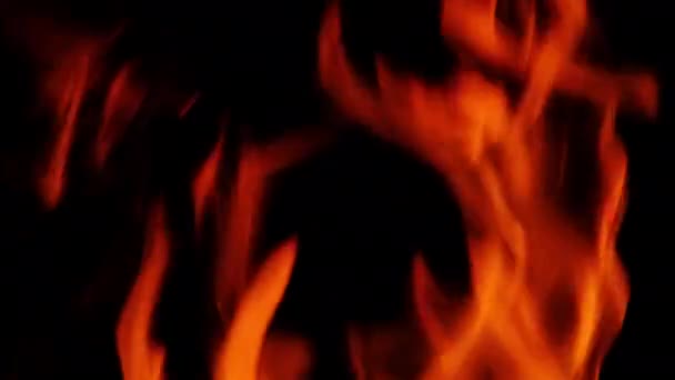 Fire line or flames isolated on black background. 4k resolution. Fire is burning in the fireplace. — Stock Video