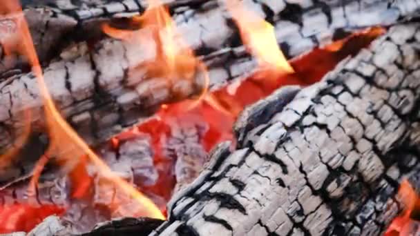 暖炉で火が燃えている。スローモーションと炎の中でグリルで燃焼いくつかの非常に熱い炭の閉じる — ストック動画