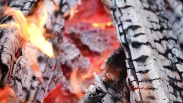 Elden brinner i eldstaden. Närbild av några mycket varm träkol förbränning i en grill i slow motion och lågor — Stockvideo