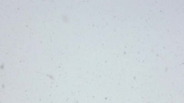 Kar taneleri arka planda. Beyaz arka planda yoğun kar yağışı var. Yakın plan. Mutlu Noeller ya da mutlu yıllar. 4k çözünürlüğü.