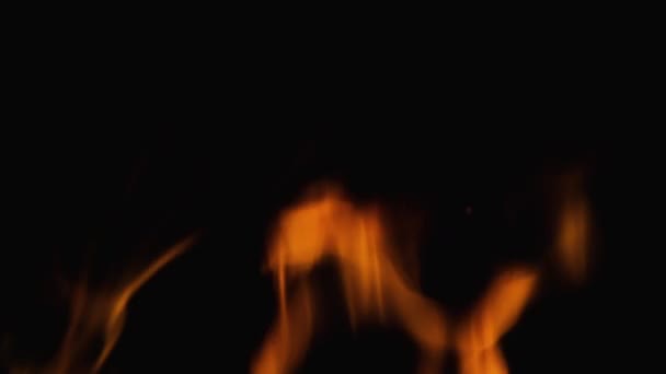 Tűz vagy lángok elszigetelt fekete háttér Tűz ég a kandallóban lassított felvétel — Stock videók