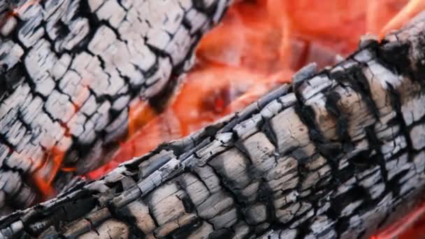 Elden brinner i eldstaden. Närbild av några mycket varm träkol förbränning i en grill i slow motion och lågor — Stockvideo