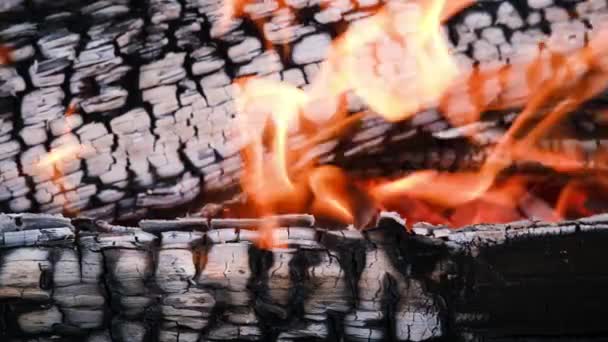 Elden brinner i eldstaden. Närbild av några mycket varm träkol förbränning i en grill i slow motion och lågor — Stockvideo