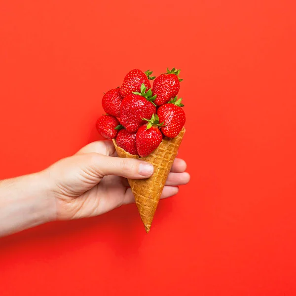 Cono de helado lleno de fresas maduras aisladas sobre fondo rojo. Cono de gofre de mano con fresas maduras. Banner de verano —  Fotos de Stock