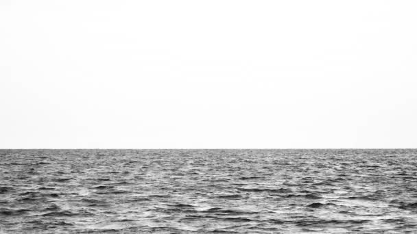 Vista sobre el mar tranquilo o el océano con hermoso reflejo del sol por la noche. Paisajes vista del interminable agua de mar y el cielo en la noche de verano. Video en blanco y negro. Banner con espacio de copia — Vídeo de stock