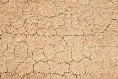 Çok kuru ve çatlamış toprağın dokusu. Kuraklık ya da susuzluk.