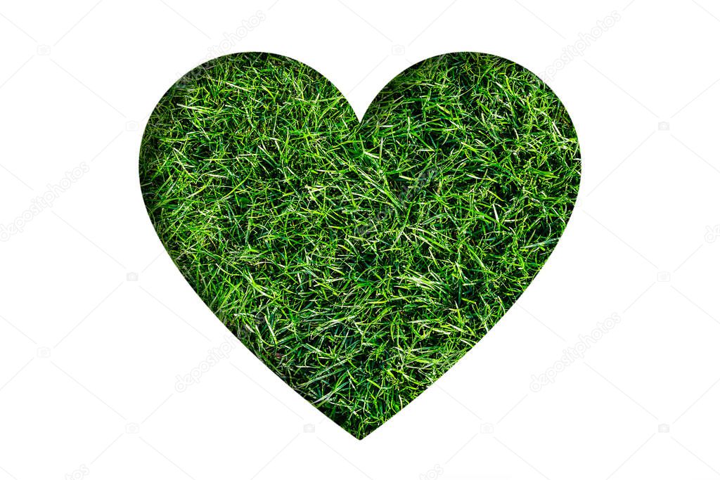 Heart shape filled with grass. Eco friendly concept. Green valentine banner. Heart made of healthy grass isolated on white.