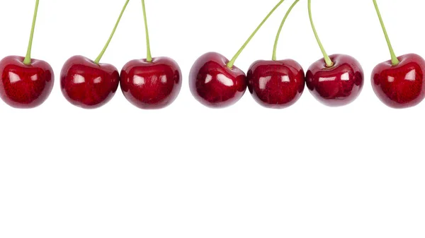 Dojrzała czerwień słodka wiśnia odizolowana na białym tle. Blisko makro zdjęcie. Długie wiśnie Baner z miejsca do kopiowania. — Zdjęcie stockowe