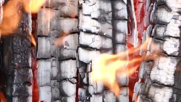 Il fuoco brucia nel camino. Da vicino un po 'di carbone bollente che brucia in una griglia e fiamme. Risoluzione 4k — Video Stock