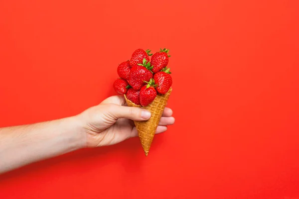 Παγωτό χωνάκι γεμάτο ώριμες φράουλες που απομονώνονται σε κόκκινο φόντο. Χέρι κρατώντας κώνο βάφλα με ώριμες φράουλες. Banner με χώρο αντιγραφής — Φωτογραφία Αρχείου