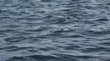 Deniz mavisi, sakin deniz ya da okyanus suyuna bakın. Yaz akşamları sonsuz deniz suyunun manzarası. Tam HD video pankartı
