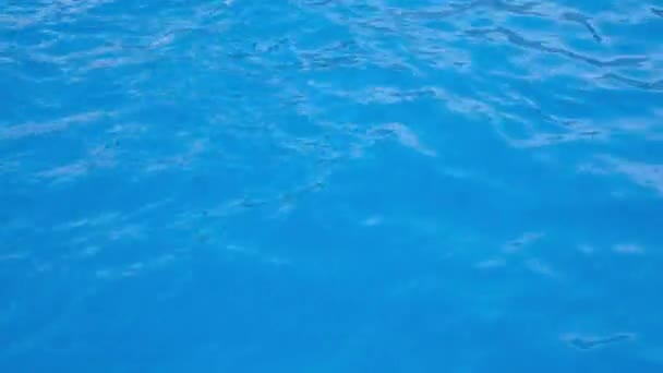 Água azul brilhante transparente pura na piscina com reflexos de luz. Vídeo de resolução 4K. Textura de água na piscina — Vídeo de Stock