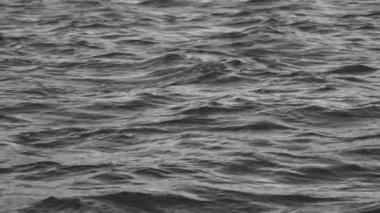 Sakin deniz ya da okyanus manzarası. Yaz akşamları sonsuz deniz suyunun manzarası. Siyah beyaz video.
