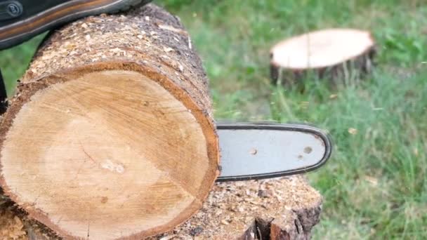 Batterij aangedreven kettingzaag hout snijden. Snijden door hout met kettingzaag in slow motion Full HD video close-up — Stockvideo
