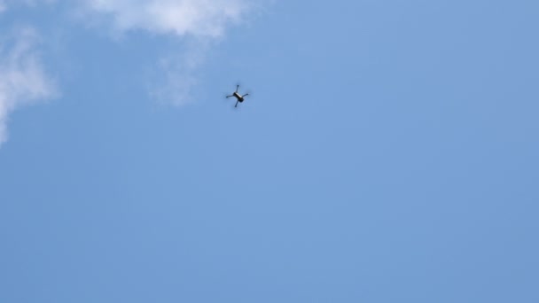 Copter flies from top to bottom. Bottom-up view on flying Drone or copter and blue sky. Modern technologies for shooting photos and videos from above. Quadcopter with camera flying — Stock Video