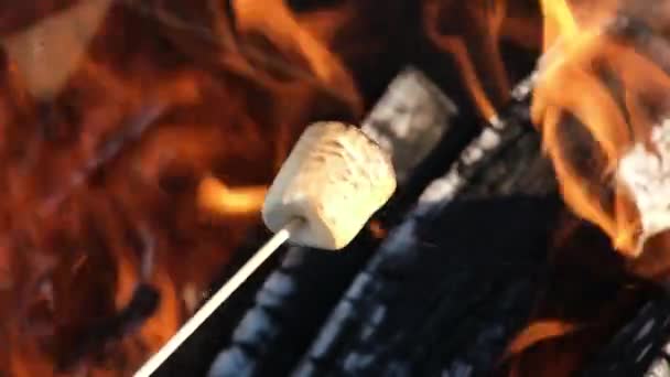 Slow motion video of a marshmallow on a stick being roasted over a camp fire. A person roasting a marshmallow with a campfire de-focused in the background. Full HD slow motion video — Stock Video