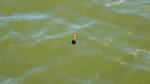 釣りながら水の中に釣竿のためのフロート。水の中のフロートは魚が噛んでいることを示します。釣り趣味の概念。4K解像度ビデオ — ストック動画