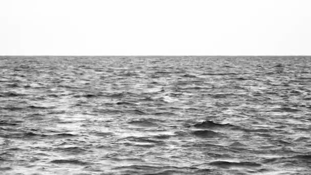 잔잔 한 바다 나 바다를 아름다운 저녁 햇살을 받으며 바라본다. 검정 색 과 하얀색 풍경에서는 끝없는 바닷물 이 위에 있는 영상에서 흰색으로 분리되어 보 입니다. 복사 공간 이 있는 배너. — 비디오