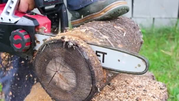 Kiev, Oekraïne - 27 juli 2021: Batterij aangedreven kettingzaag zaagt hout. Snijden door hout met kettingzaag in slow motion Full HD video close-up — Stockvideo