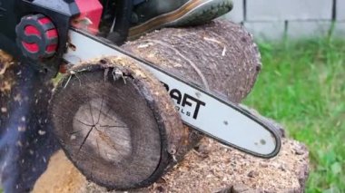 Kyiv, Ukrayna - 28 Temmuz 2021: Elektrikli testere tahta keser. Tahtayı elektrikli testereyle yavaş çekimde kesiyorum Tam HD video