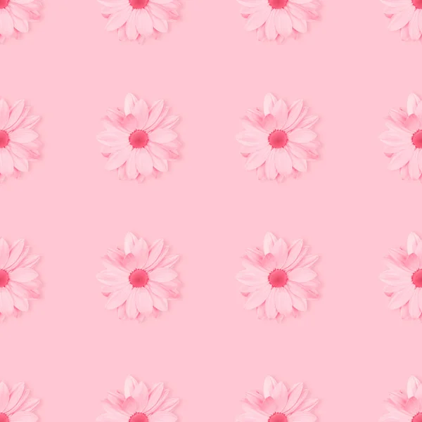 Monochrom Pastellrosa Blume Florales Nahtloses Muster Blütenmuster Von Kamille Oder — Stockfoto