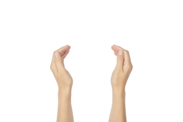 Οι παλάμες ενός χεριού είναι σε μια εκμετάλλευση, προσφέροντας ή δίνοντας θέση απομονωμένη σε λευκό φόντο. Ανοιχτή χειρονομία παλάμης. — Φωτογραφία Αρχείου