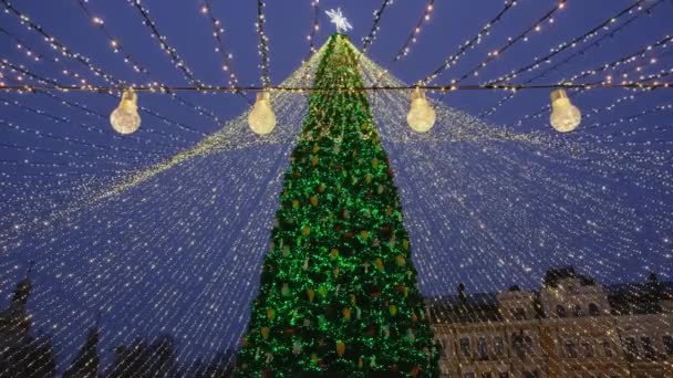 Večerní pohled na Sofijské náměstí v centru Kyjeva a krásný novoroční strom se zářivými vánočními věnci. Hlavní novoroční strom v Kyjevě v roce 2021. — Stock video