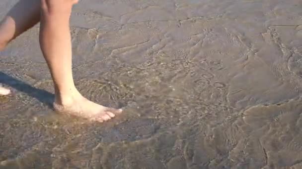 Kobieta lub dziewczęce nogi spacerujące boso po plaży w płytkiej wodzie. Długie cienie Medytacja nad koncepcją odwrotu. Filmiki zwolnione Full HD. — Wideo stockowe