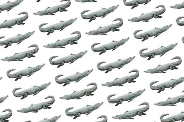 Crocodile or alligator pattern isolated on white background. Zoo animals concept. Crocodile or alligator full length — Stock Photo, Image