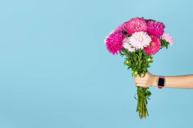 Mavi arka planda izole edilmiş büyük bir buket pembe ve beyaz astar. Sonbahar çiçeği buketi. Fotokopi alanı olan pankart. Asterlar aşkı, bilgeliği ve inancı simgeler.