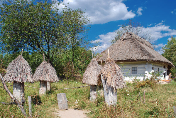 Village landscape in Museum of Folk Architecture Ukraine