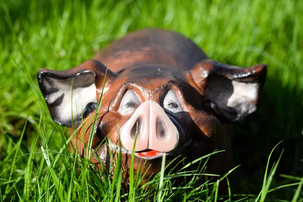 Komik oyuncak domuz — Stok fotoğraf