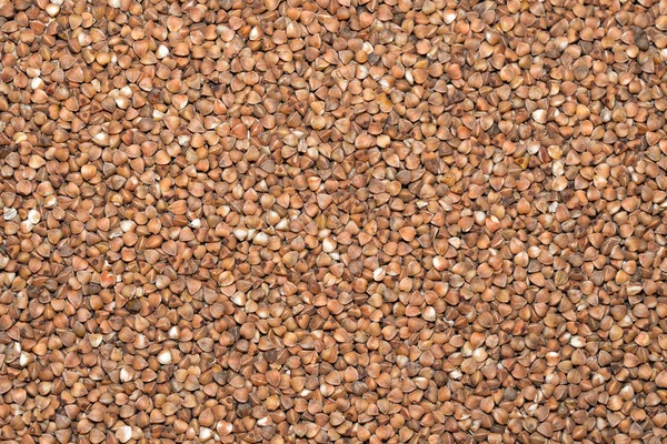 Gryka tło zbóż — Zdjęcie stockowe