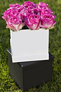 Bir buket pembe gül.