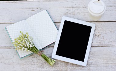 günlüğü, bir tablet bilgisayar Zambakları Vadisi