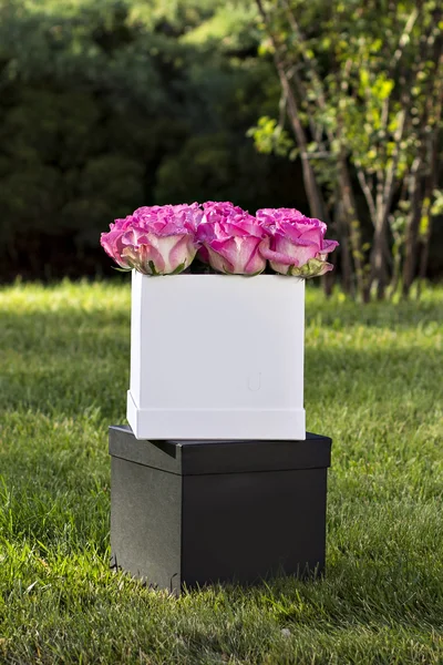 Μπουκέτο ροζ τριαντάφυλλα — Φωτογραφία Αρχείου