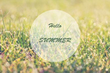 Taze, kalın otlara yakın.