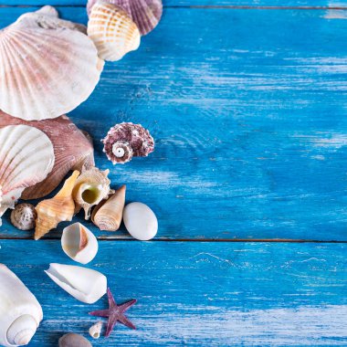 eski mavi ahşap kurullarında kabukları