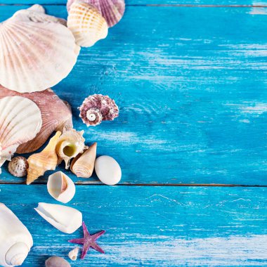 eski mavi ahşap kurullarında kabukları