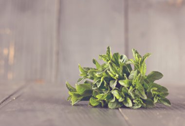 Bir demet taze nane.