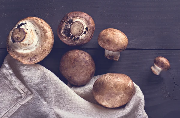 Frische Pilze auf einer schwarzen Tafel. — Stockfoto