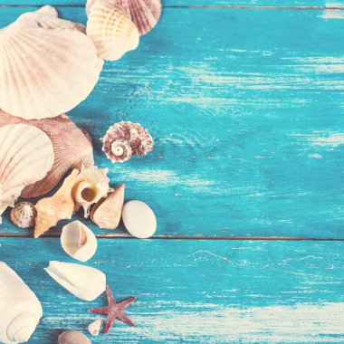 eski mavi ahşap kurullarında kabukları.